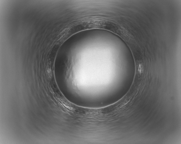 X0000052580771200507081727