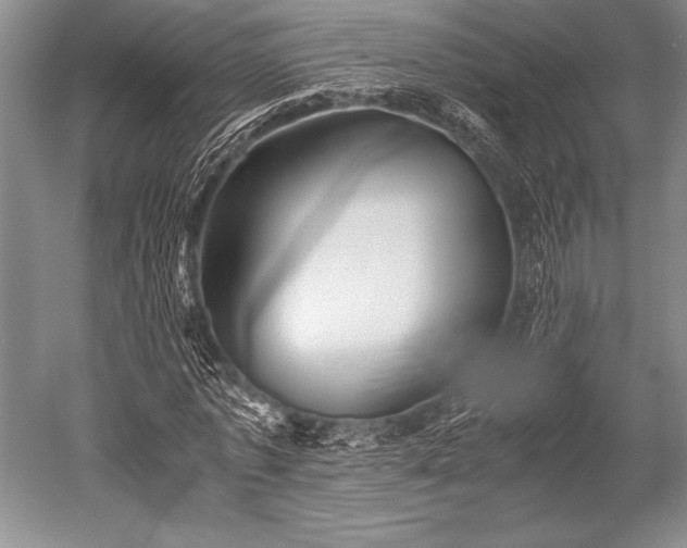 X0000052580773200507081727