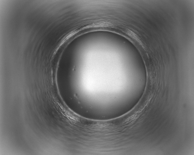 X0000052580781200507081727