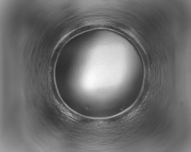 X0000052580783200507081727