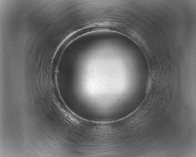 X0000052580784200507081727
