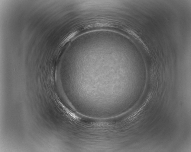 X0000052580785200507081727