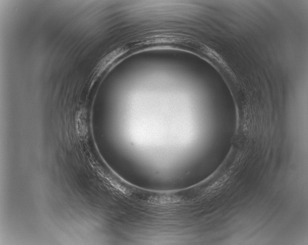 X0000052580786200507081727