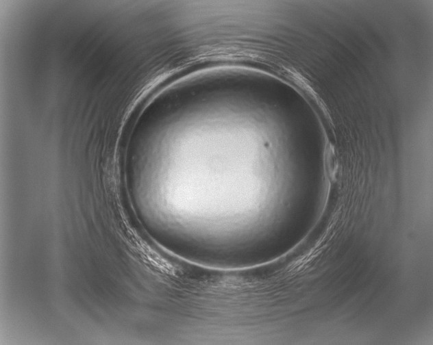 X0000052580787200507081727