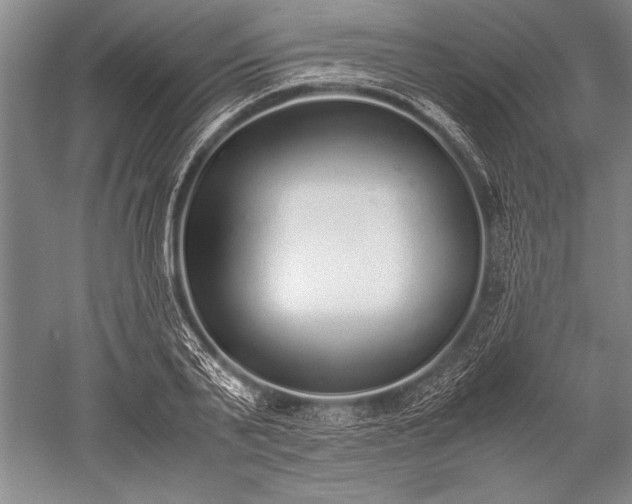 X0000052580791200507081727