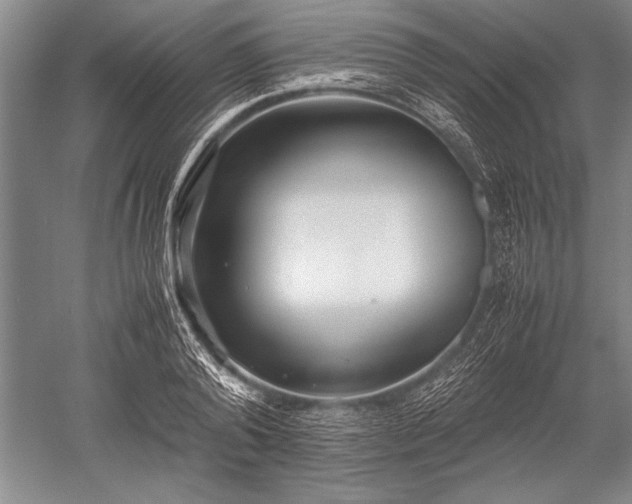 X0000052580792200507081727