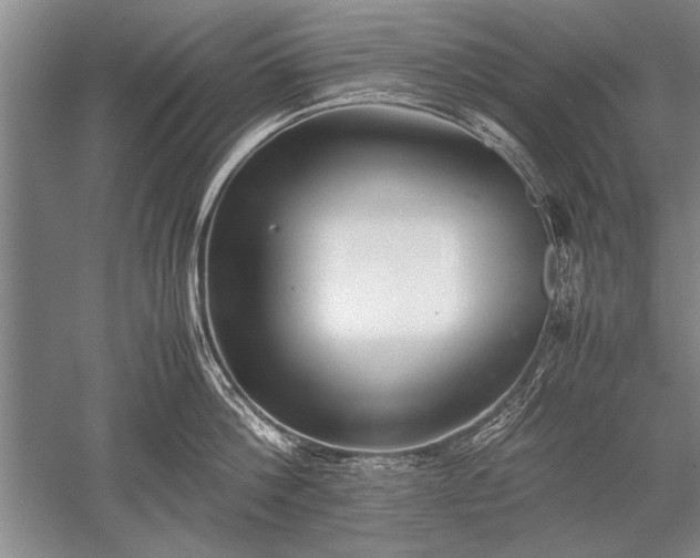 X0000052580812200507081726