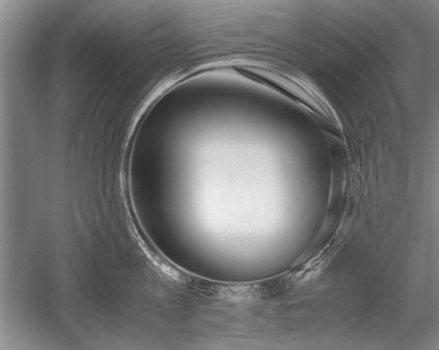 X0000052580813200507081726