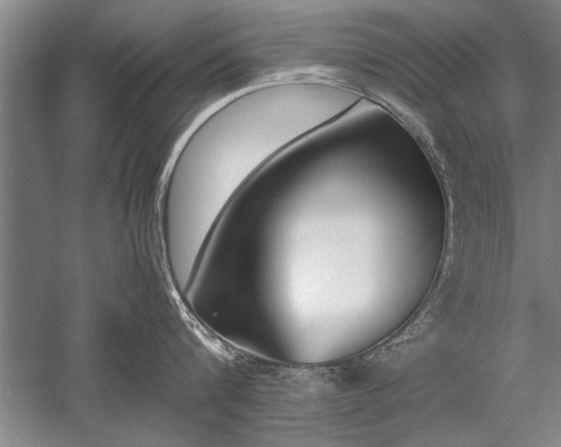 X0000052580816200507081726