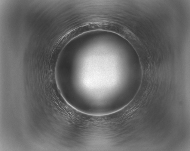 X0000052580822200507081725