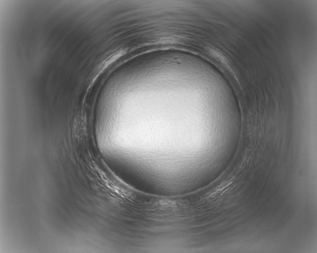 X0000052580827200507081725