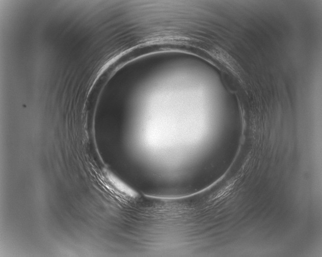 X0000052580830200507081726