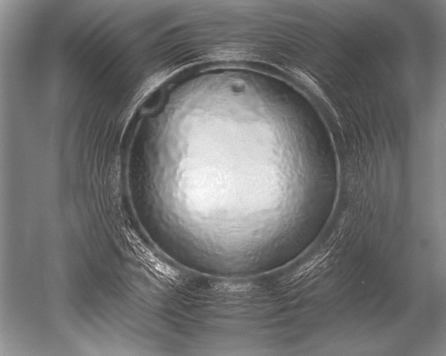 X0000052580831200507081726