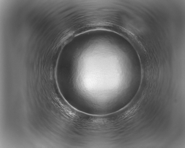 X0000052580833200507081726
