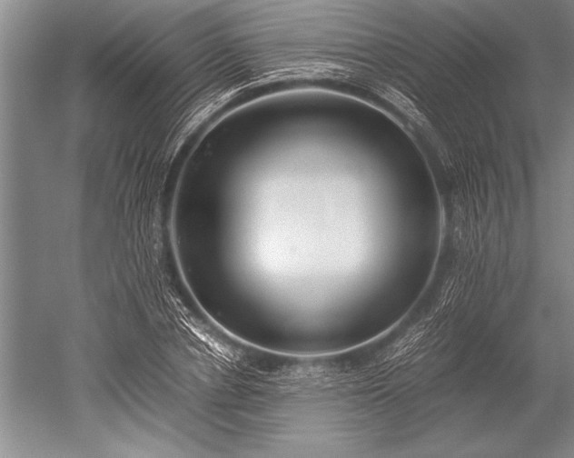 X0000052580834200507081726