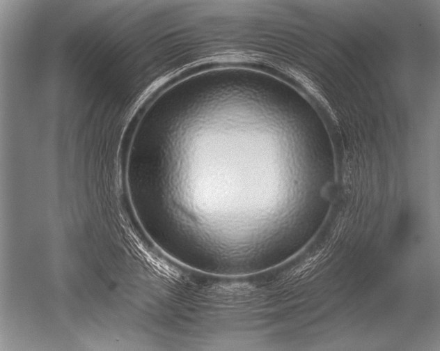 X0000052580837200507081726