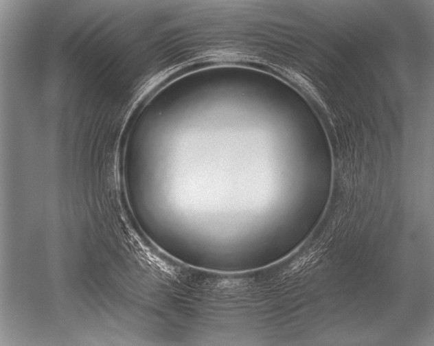 X0000052580839200507081726