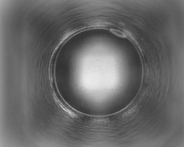 X0000052580843200507081726