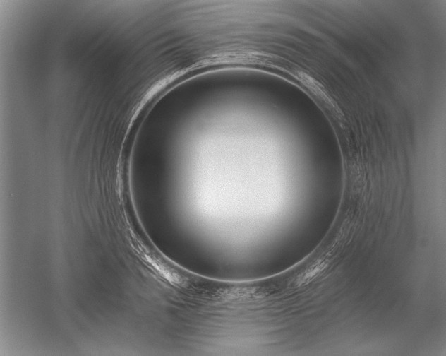 X0000052580846200507081726