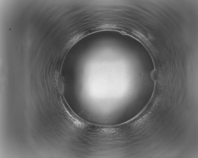 X0000052580849200507081726