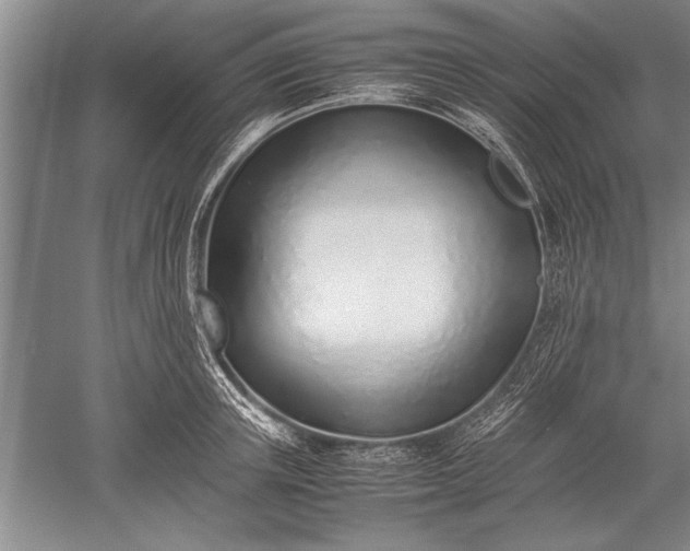 X0000052580851200507081726
