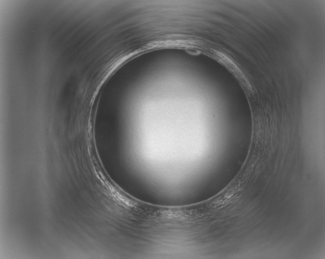 X0000052580852200507081726