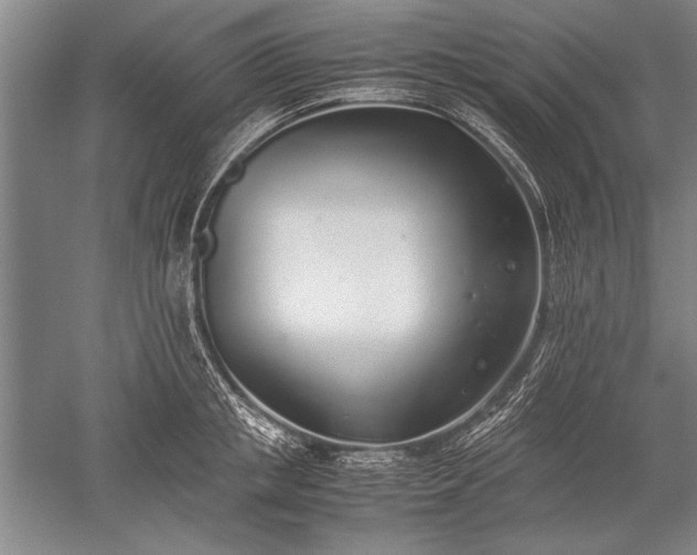 X0000052580853200507081726