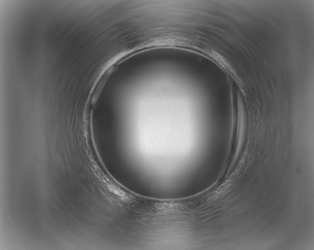 X0000052580854200507081726