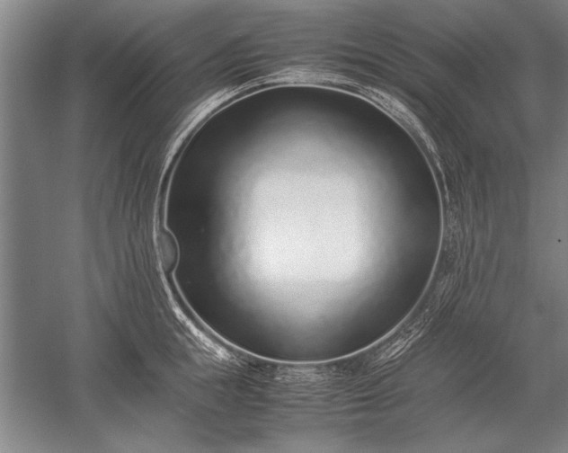 X0000052580855200507081726