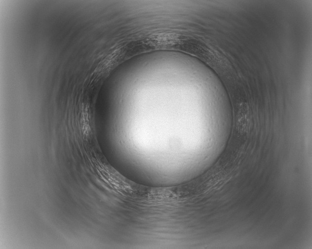 X0000052580866200507081725