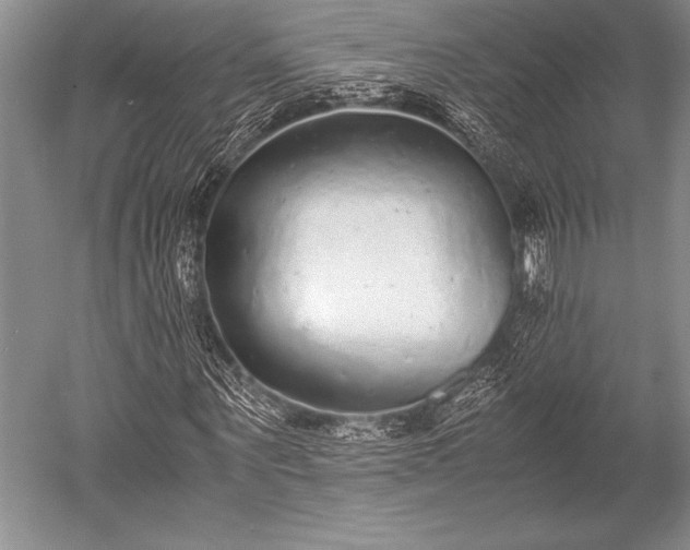 X0000052580867200507081725
