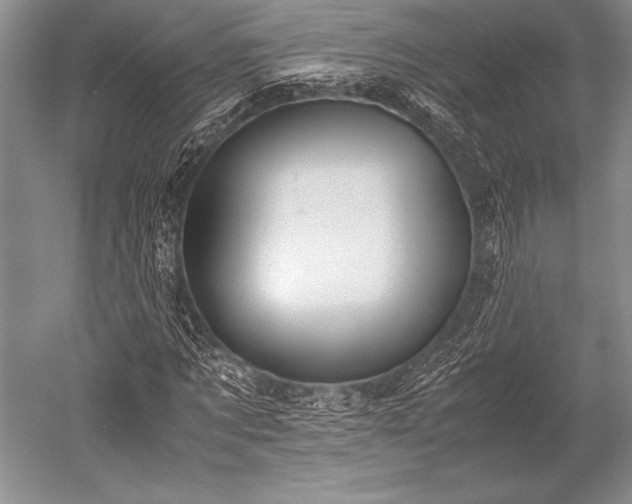 X0000052580869200507081725