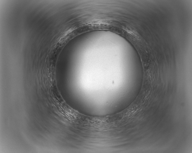 X0000052580870200507081725