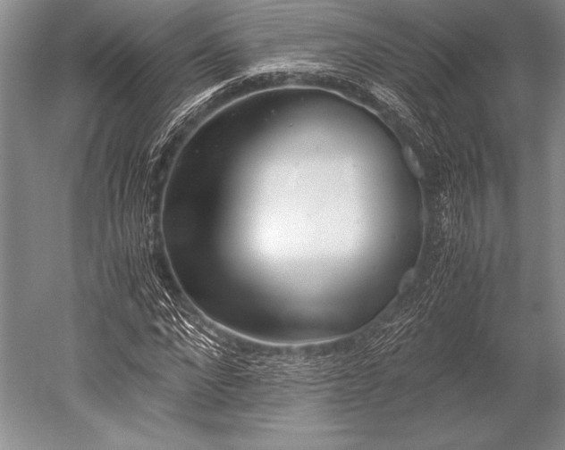 X0000052580872200507081725
