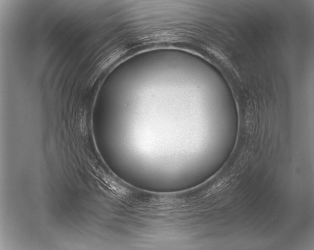 X0000052580873200507081725