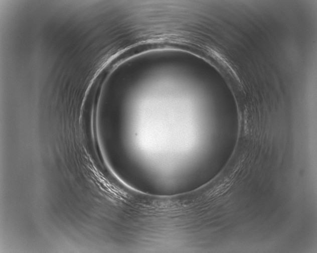 X0000052580876200507081725