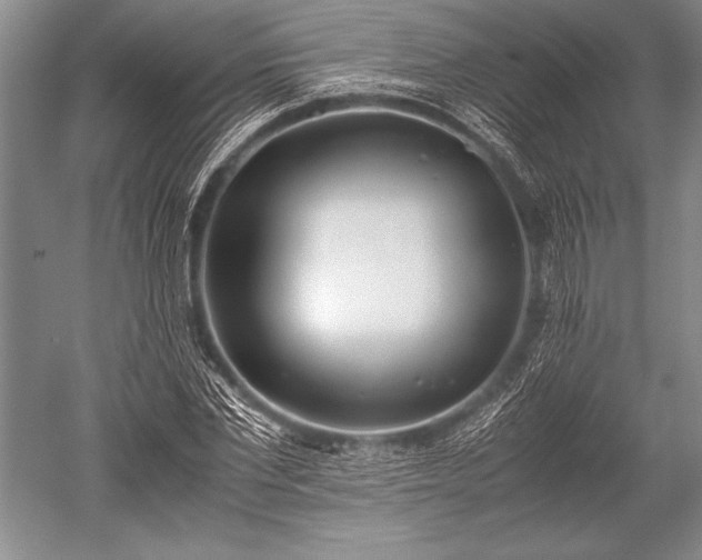 X0000052580877200507081725