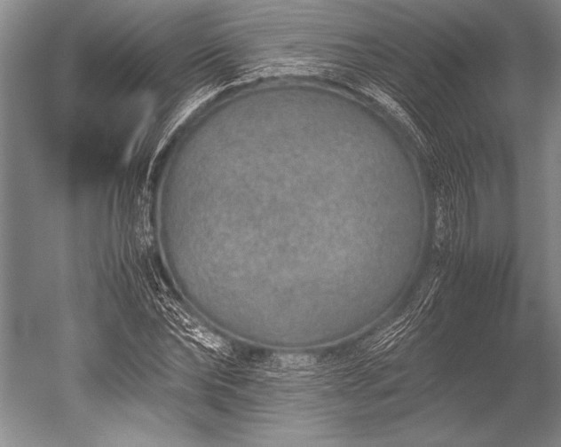 X0000052580878200507081725