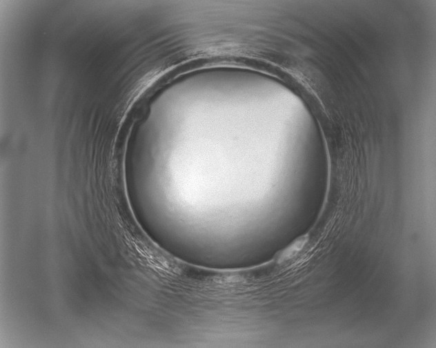 X0000052580879200507081725