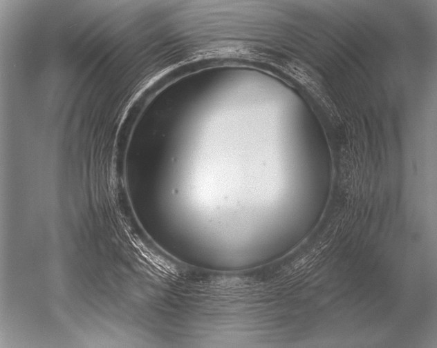 X0000052580880200507081725