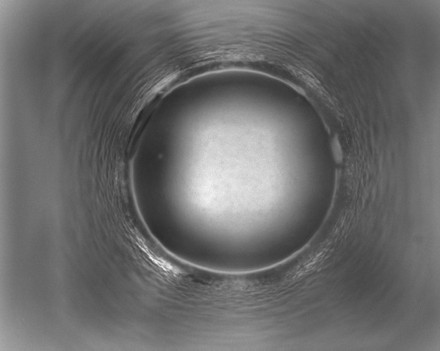 X0000052580881200507081725