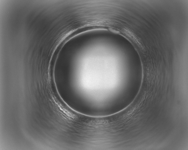 X0000052580884200507081725
