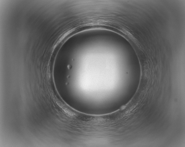X0000052580885200507081725