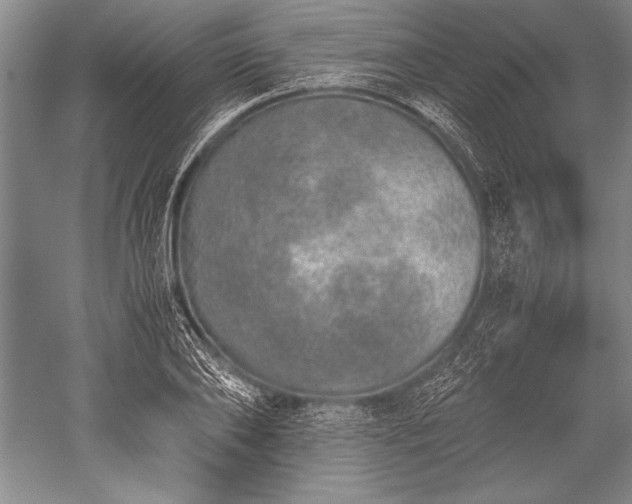 X0000052580886200507081725