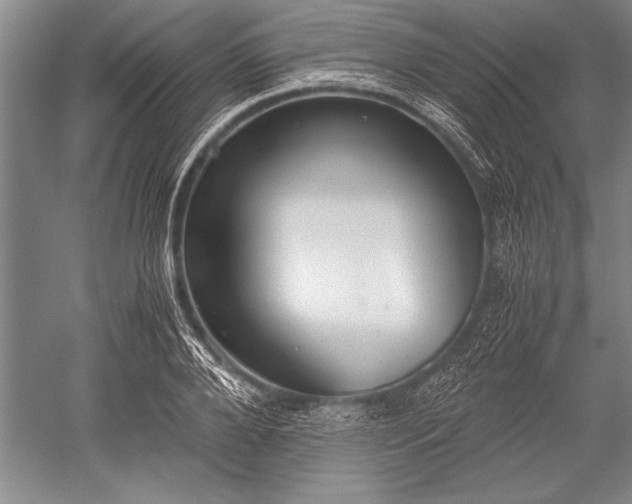 X0000052580888200507081725