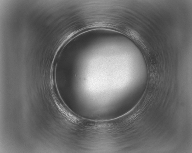 X0000052580892200507081725
