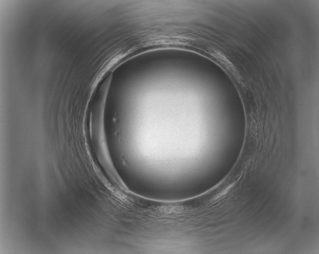 X0000052580893200507081725