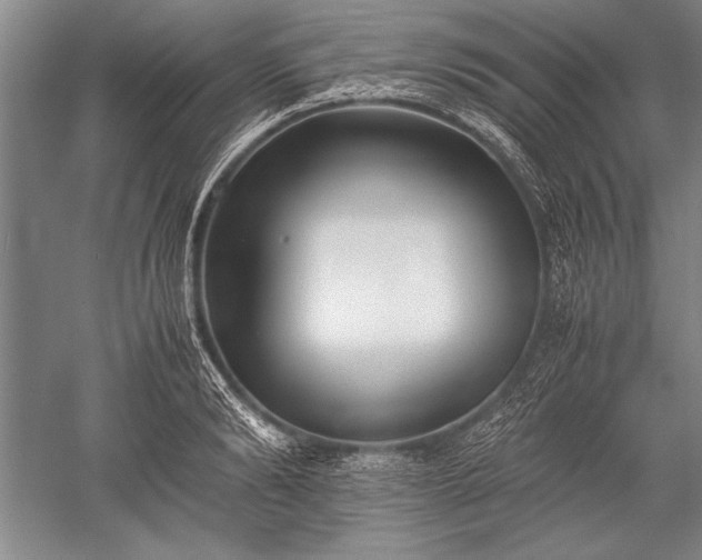 X0000052580894200507081725