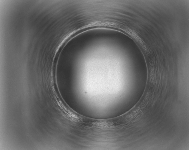 X0000052580896200507081725