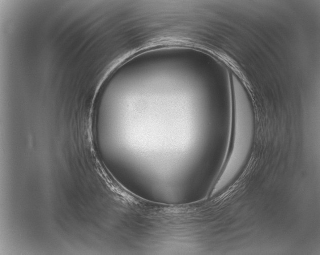 X0000052580904200507081725